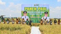 Target Program Gernas Tanam Padi Terancam Molor