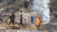 Puluhan Hektar Kebun Warga Pugung Terbakar