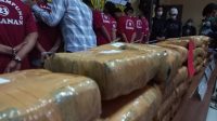 Lampung 3 Terbesar Peredaran Narkoba