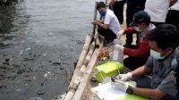 Sejak 2021-2023 Pesisir Lampung Dirongrong Limbah