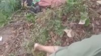 Motor Terjun Bebas ke Jurang, 4 Nyawa Melayang