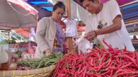 Harga Cabai Menggigit, Pemprov Lampung Sarankan Warga Tanam Sendiri