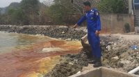 Pencemaran Limbah Pesisir Lampung Makin Parah
