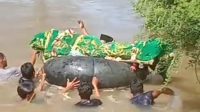 Desa Tanpa Jembatan: Warga Pekon Pemerihan Usung Jenazah Menyeberangi Sungai