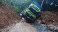 Jalur Liwa-Krui Nyaris Lumpuh: Truk Terperangkap, Macet Menyeruak