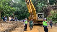 Kritis! Jalur Liwa-Krui Terputus Lagi Akibat Longsor 