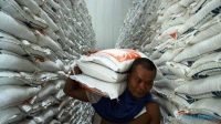 KPPU Lampung Bongkar Kenaikan Harga Beras