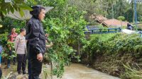 Dampak Banjir Pesawaran: Bupati Janji Support Pangan dan Rekonstruksi Tanggul