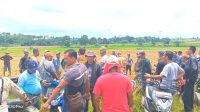 Arogansi BPKAD Lampung, Melanggar Hak Petani atau Tindakan Tegas?