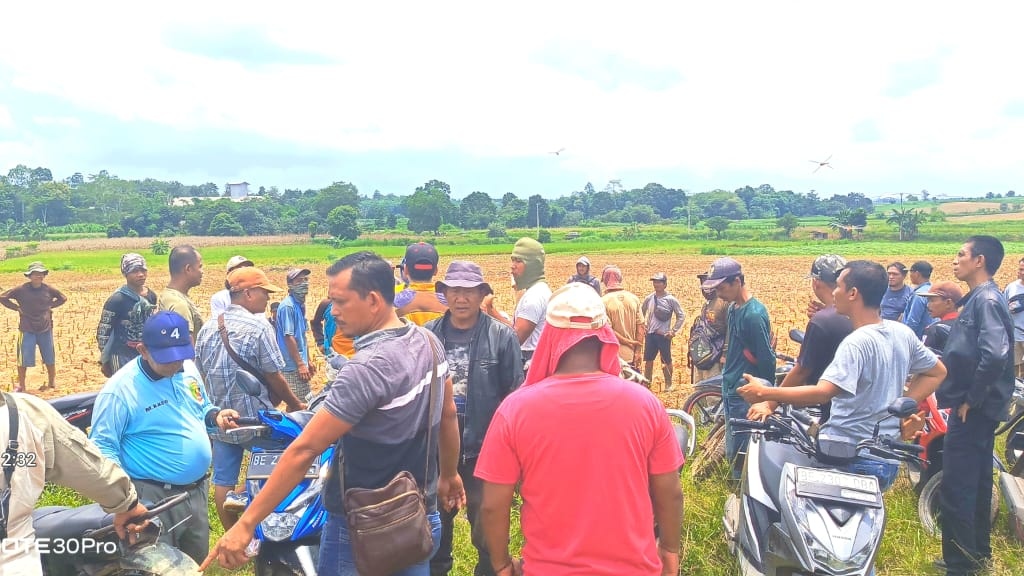 Arogansi BPKAD Lampung, Melanggar Hak Petani atau Tindakan Tegas?