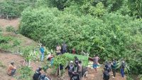 Keberadaan Harimau TNBBS Terekam Kamera