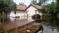 Dua Hari Terisolasi: Warga Cabang Lampung Tengah Terpinggirkan di Tengah Banjir