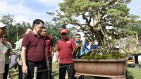 Kontes Bonsai Tingkat Nasional, Firsada Beri Apresiasi PPBI Tubaba